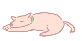 31ne.gif