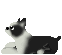 image2466.gif